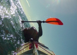 Sea kayak courses